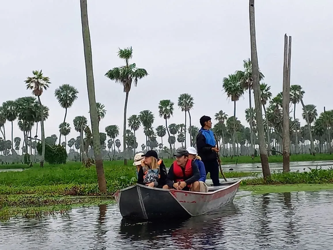 Paisaje de montaña 4