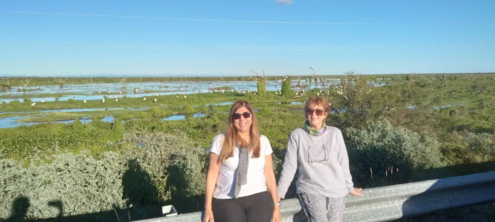 Paisaje de montaña 5