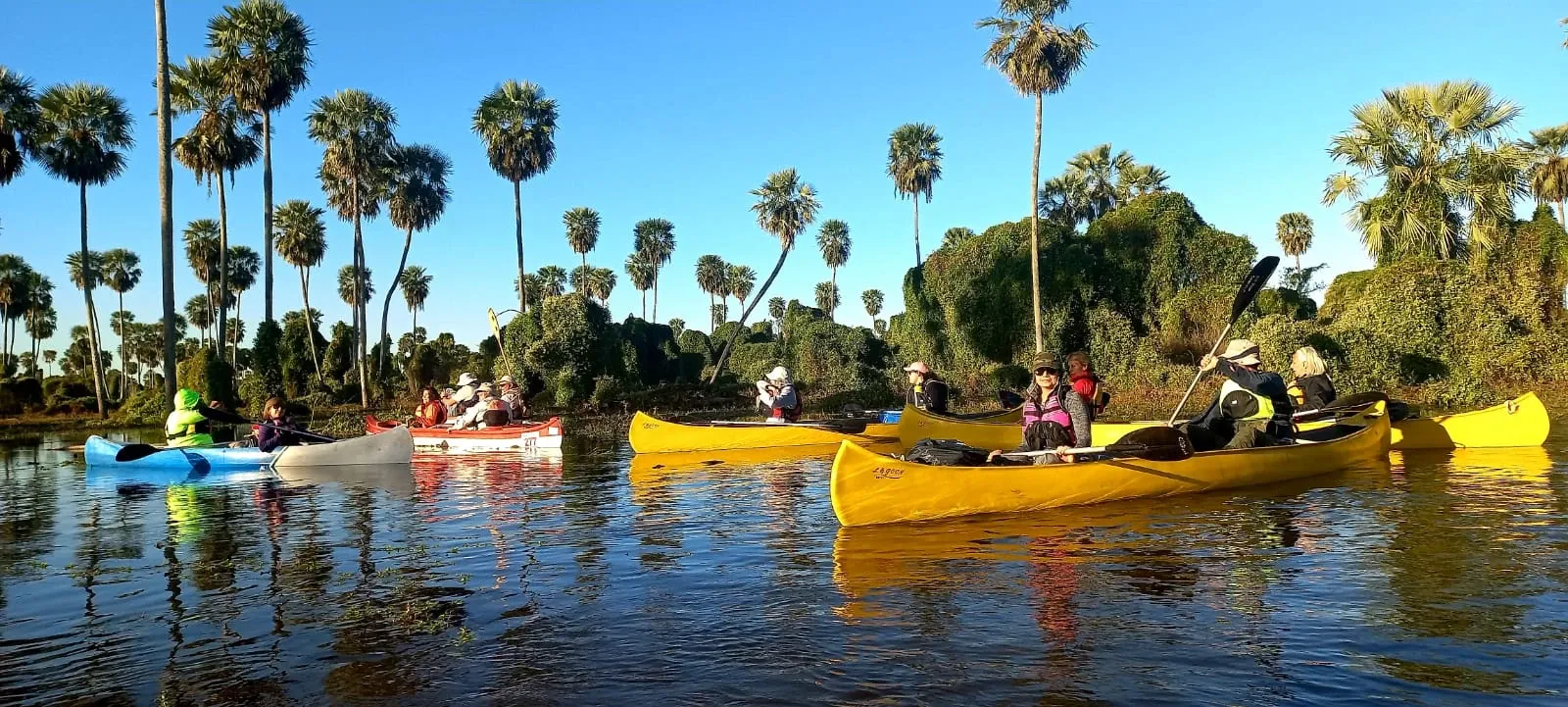Paisaje de montaña 4