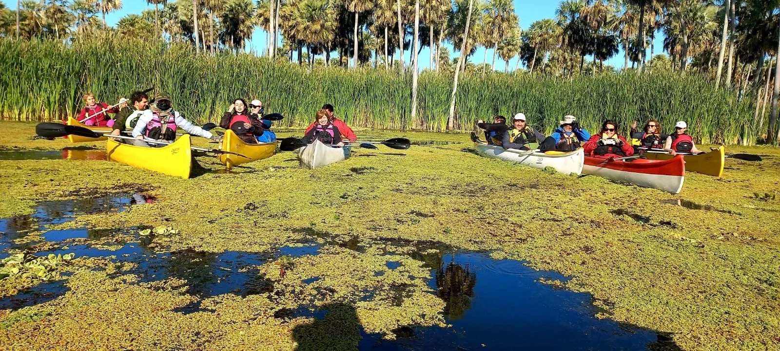 Paisaje de montaña 5
