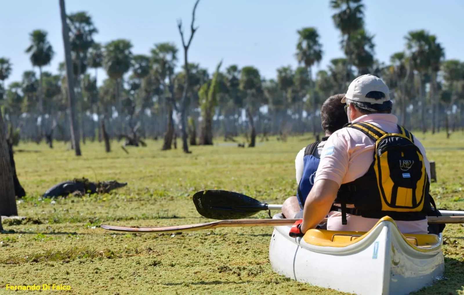 Paisaje de montaña 6