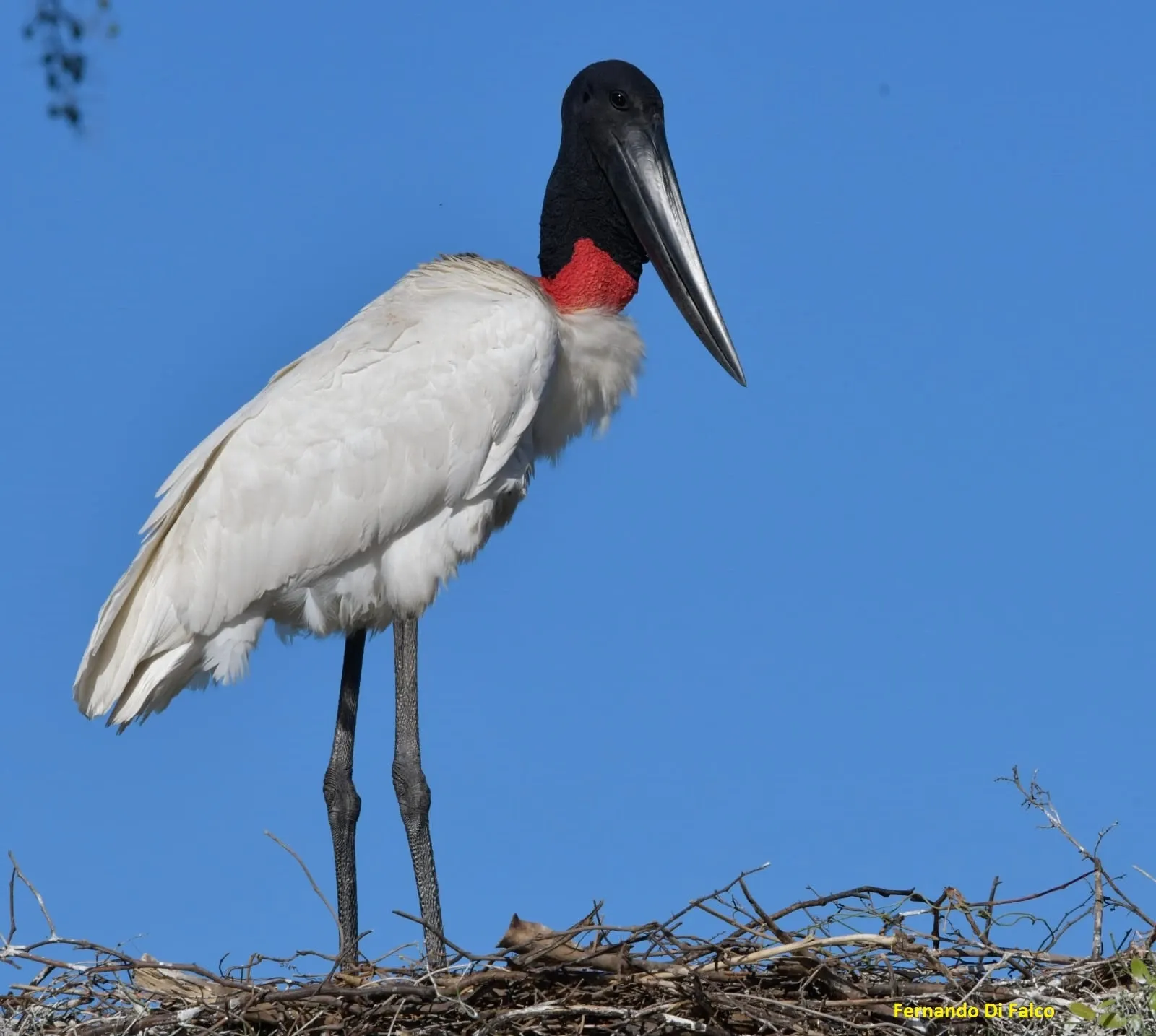 Paisaje de montaña 9