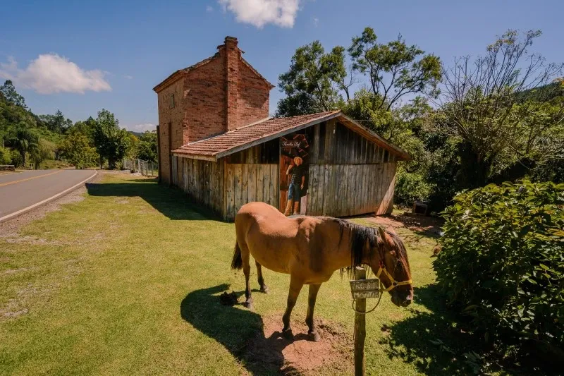 Paisaje de montaña 5