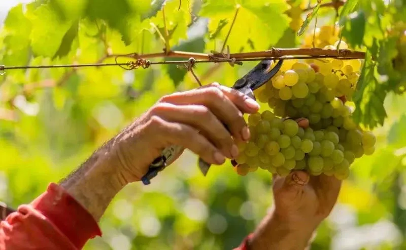 Paisaje de montaña 7