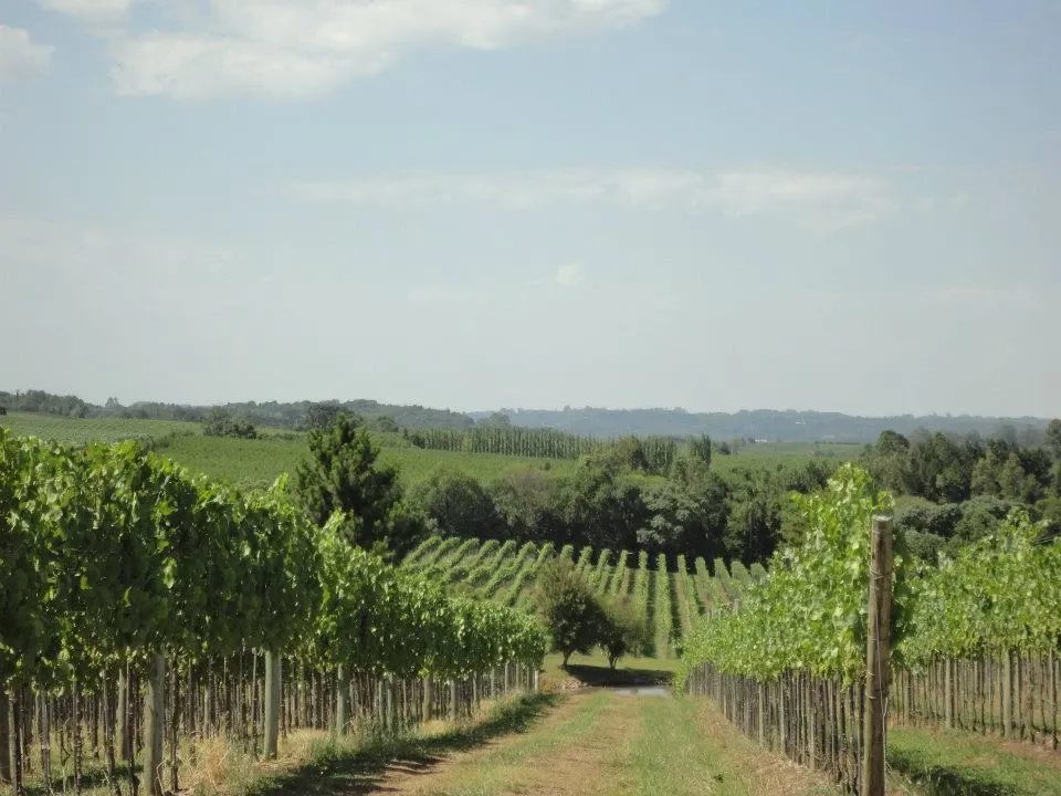 Paisaje de montaña 9