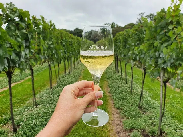 Paisaje de montaña 10