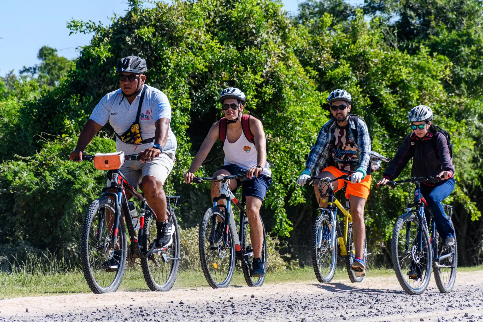 Paisaje de montaña 4