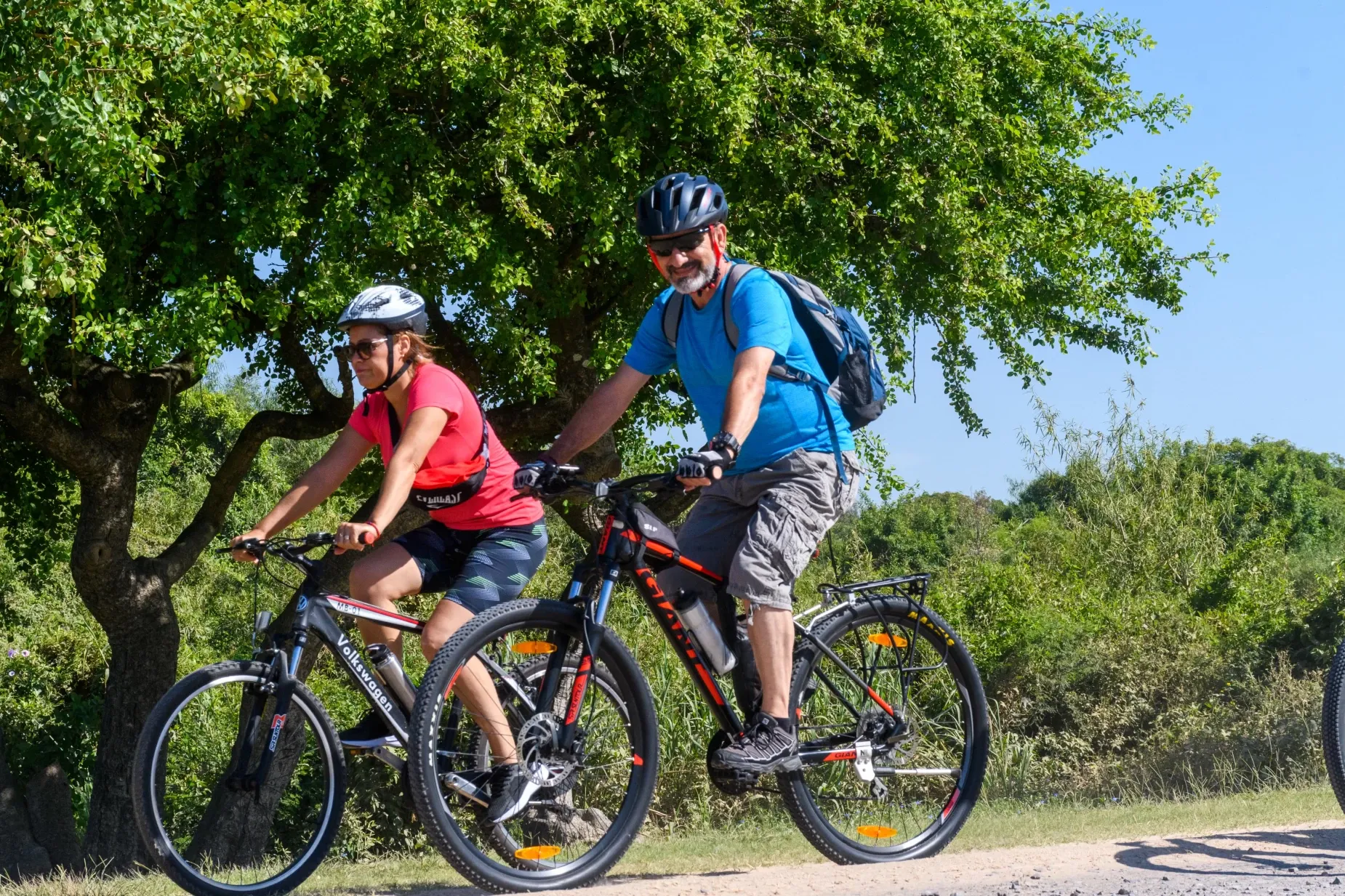 Paisaje de montaña 6