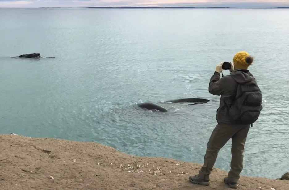 Paisaje de montaña 3