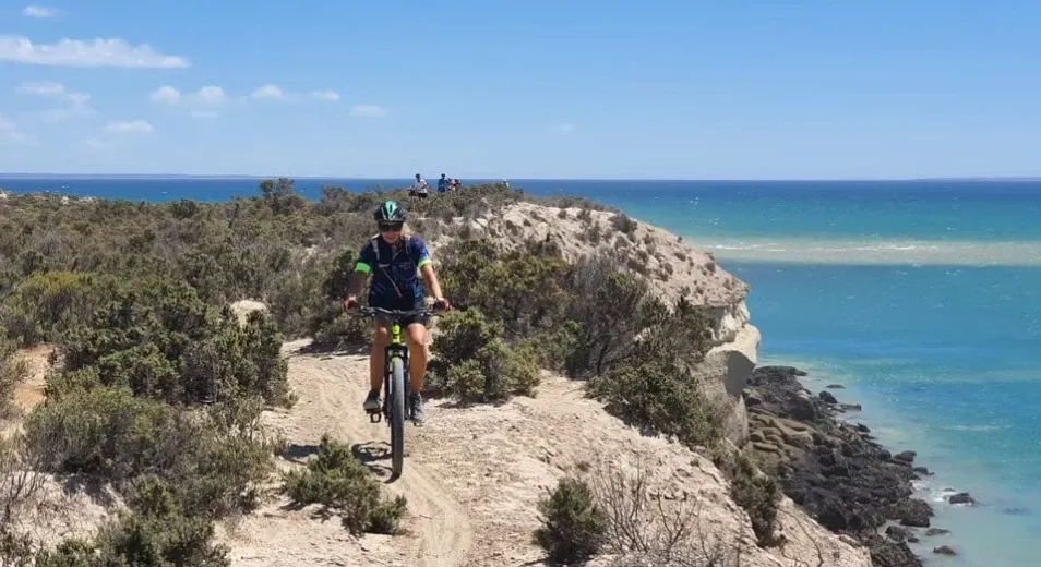 Paisaje de montaña 5