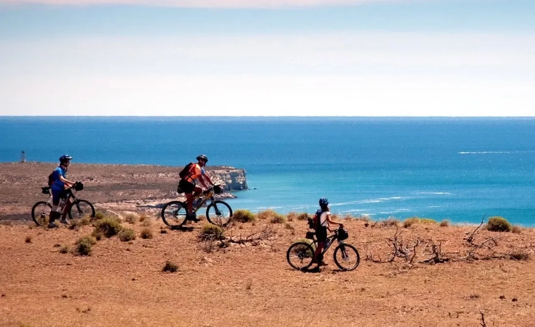 Paisaje de montaña 8