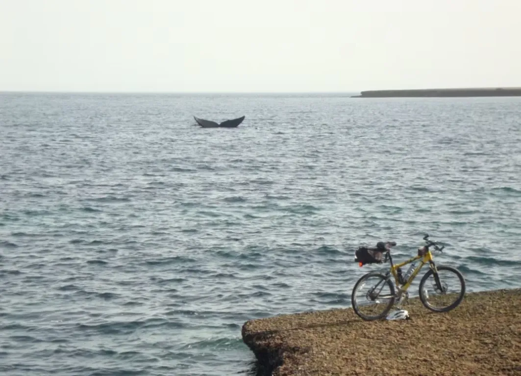 Paisaje de montaña 9