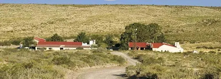 Paisaje de montaña 4