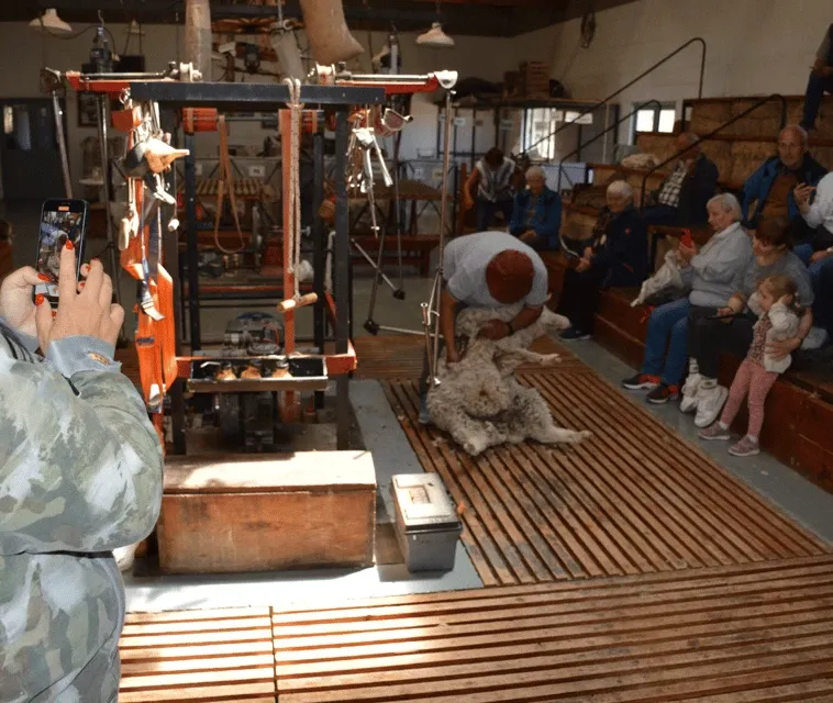 Paisaje de montaña 8