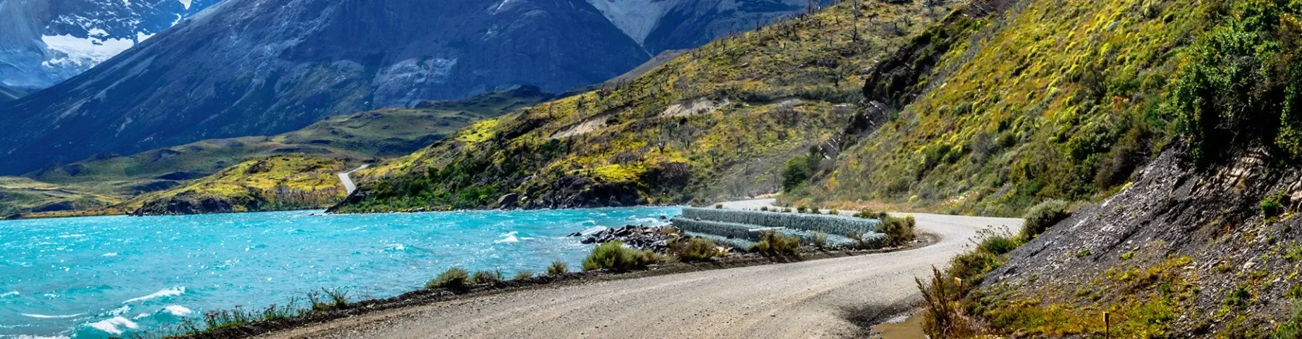 Explora Punta Arenas y sus bellezas naturales