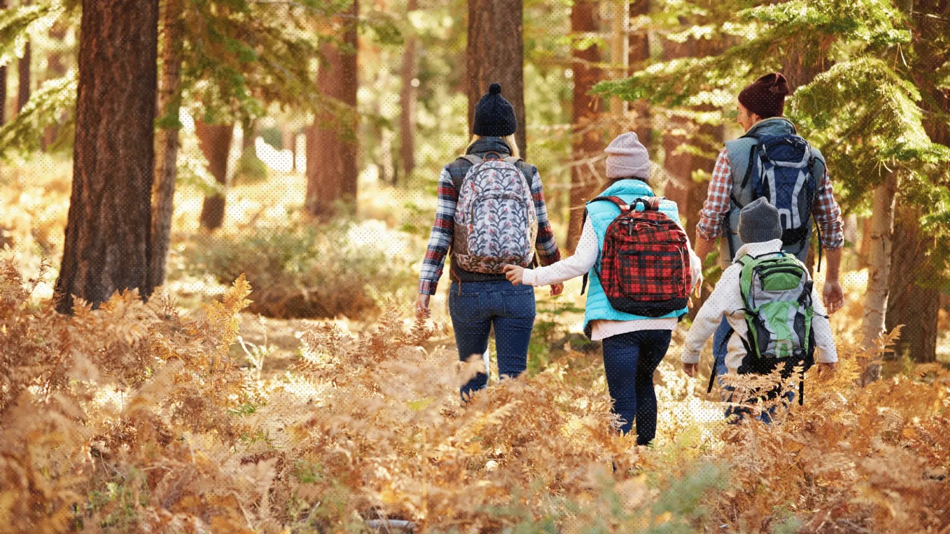 Explora senderos en tus aventuras de trekking