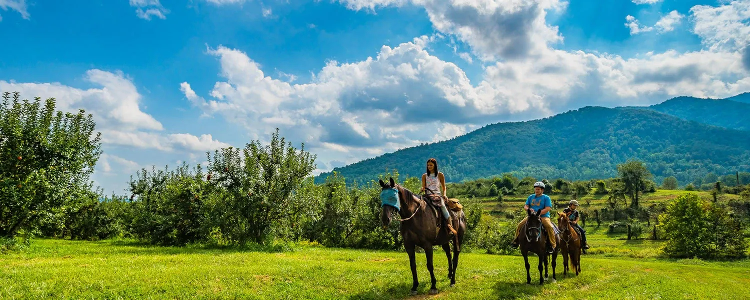 Explora a caballo y conecta naturaleza y aventura