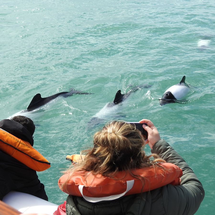 Paisaje de montaña 2