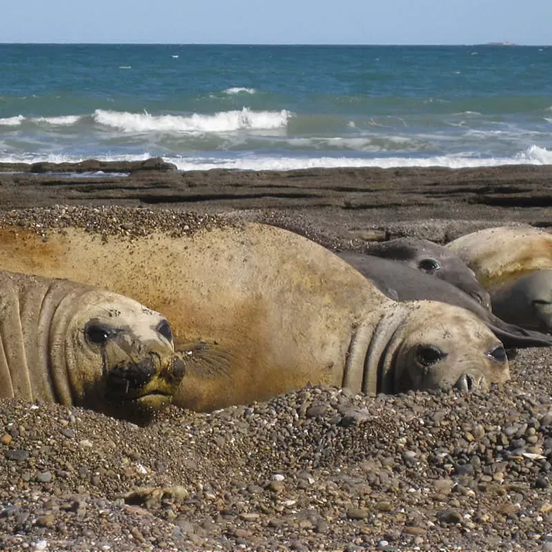 Paisaje de montaña 5