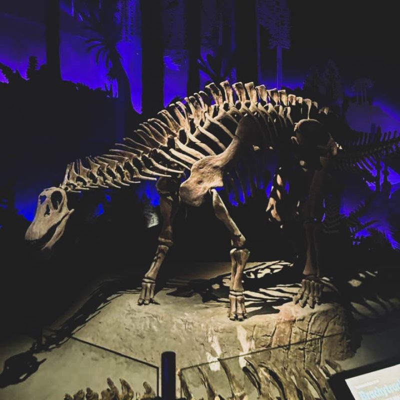 Paisaje de montaña 8