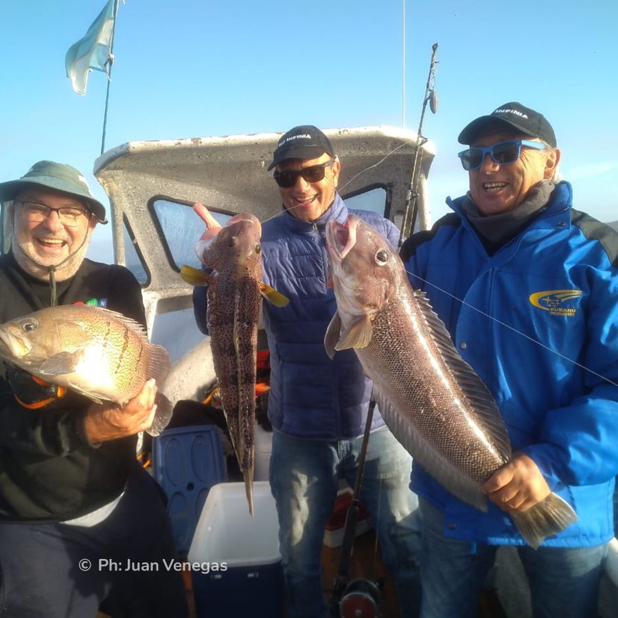 Paisaje de montaña 5