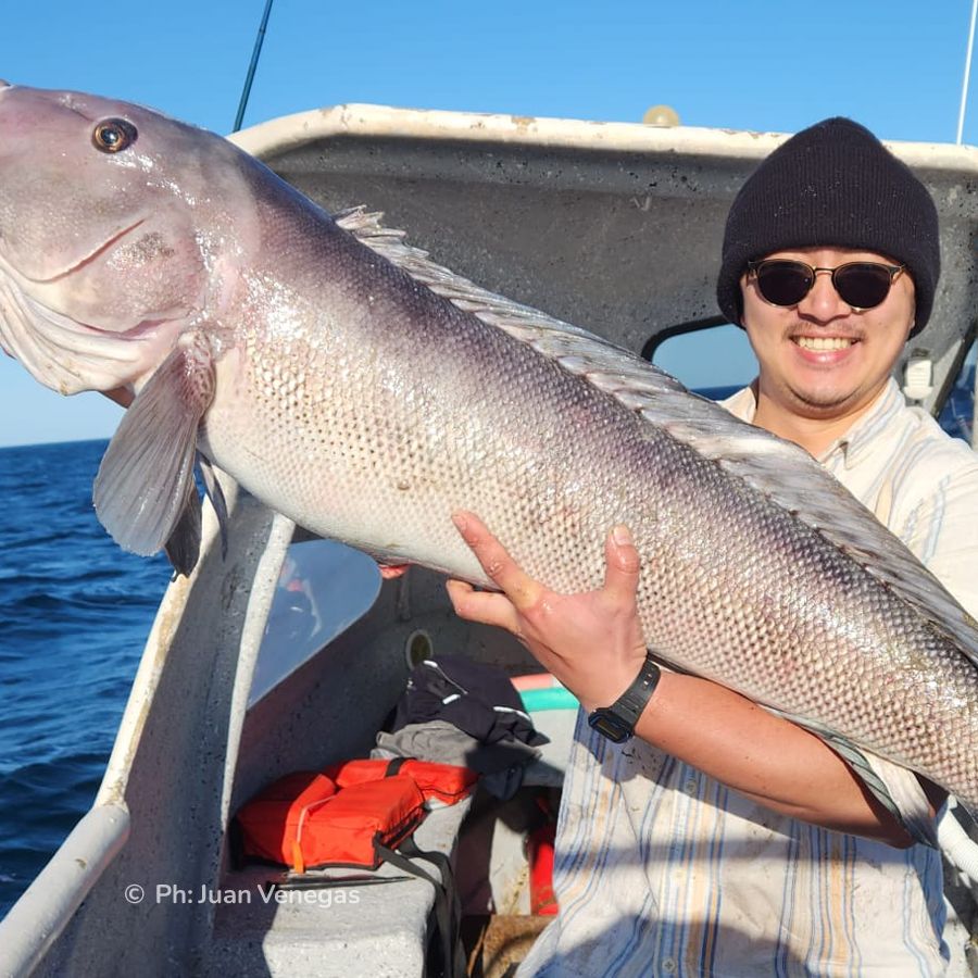 Paisaje de montaña 4