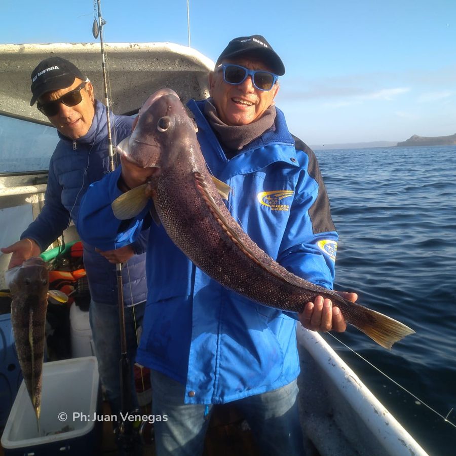 Paisaje de montaña 1