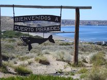 Excursión Península Valdés con Puerto Piramides 