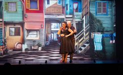 Tigre Clasico + Madero Tango Cena Show Platea