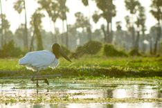 Travesía  al Impenetrable y Bañado la Estrella