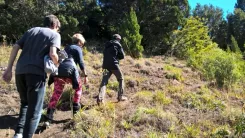 Trekking Familiar a Mirador Bandurrias y Piedra Mora
