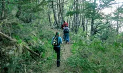 Trekking y Ascenso al Cerro Mallo de 1800 msnm