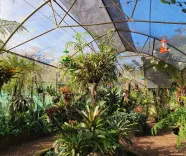 Explora la Flora y Fauna en el Biocentro Iguazú 