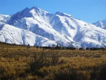 Excursión a Valle de Uco y Cordón de Plata 