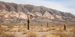 Excursión a Cachi y Valles Calchaquíes desde Salta