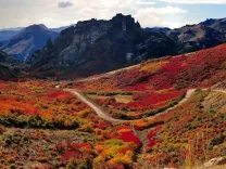 Excursión a Lago Meliquina, Traful y Paso Córdoba 