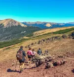 Ascenso Familiar al Cerro Colorado: Vistas ünicas