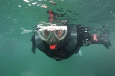 Snorkelling en el Canal de Beagle
