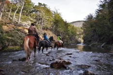 Cabalgata a Monte Susana en Ushuaia de 2 horas
