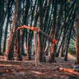 Excursión Miramar con Carpa y el Bosque Energético