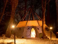 Trineos Husky, Motonieve y Cena en Nunatak