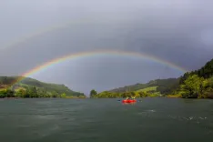 Flotada por el Río Allipén: Naturaleza y Aventura