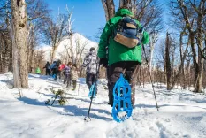 Caminata con Raquetas en Volcán Lanín y Merienda