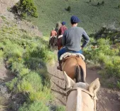  Cabalgata una hora en Traful