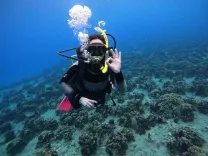 Bautismo de Buceo en Isla de Pascua
