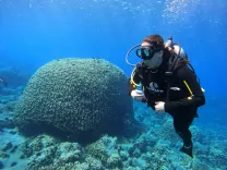 Buceo Certificado en los Tesoros de Isla de Pascua