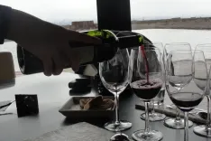 Gourmet & Naturaleza: Trekking y Vinos Patagónicos