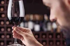 Paseo y Degustación Patagónica en Winehouse