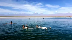 Laguna Cejar: Flotando en el Corazón del Desierto