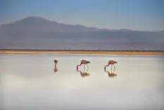 Piedras Rojas y Lagunas: El Corazón de Atacama